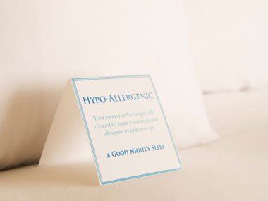 The Essential Guide To Deeper Sleep 10 Essential Guide To Deeper Sleep 11 Hypoallergenic Pillow Sl1