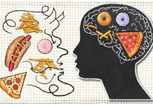 12 Weird Effects Fast Food Has on Your Brain