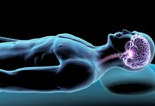 REM Sleep, Memory, and Ways to Keep Your Brain Sharp