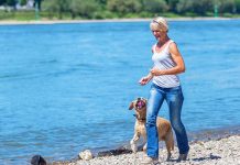 Menopause and Women: Staying Healthy and Happy