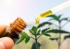 Opioid Alternatives: Can You Manage Your Pain With Natural Remedies Like CBD Oil?