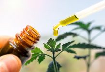 Opioid Alternatives: Can You Manage Your Pain With Natural Remedies Like CBD Oil?