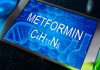 Metformin – Is it Really the Fountain of Youth?