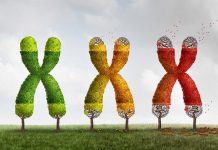 Top 4 Exciting Breakthroughs in Longevity Science