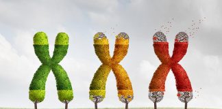 Top 4 Exciting Breakthroughs in Longevity Science